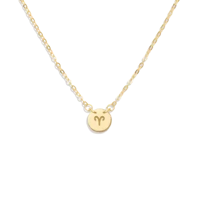 Dainty Zodiac Disc Necklace