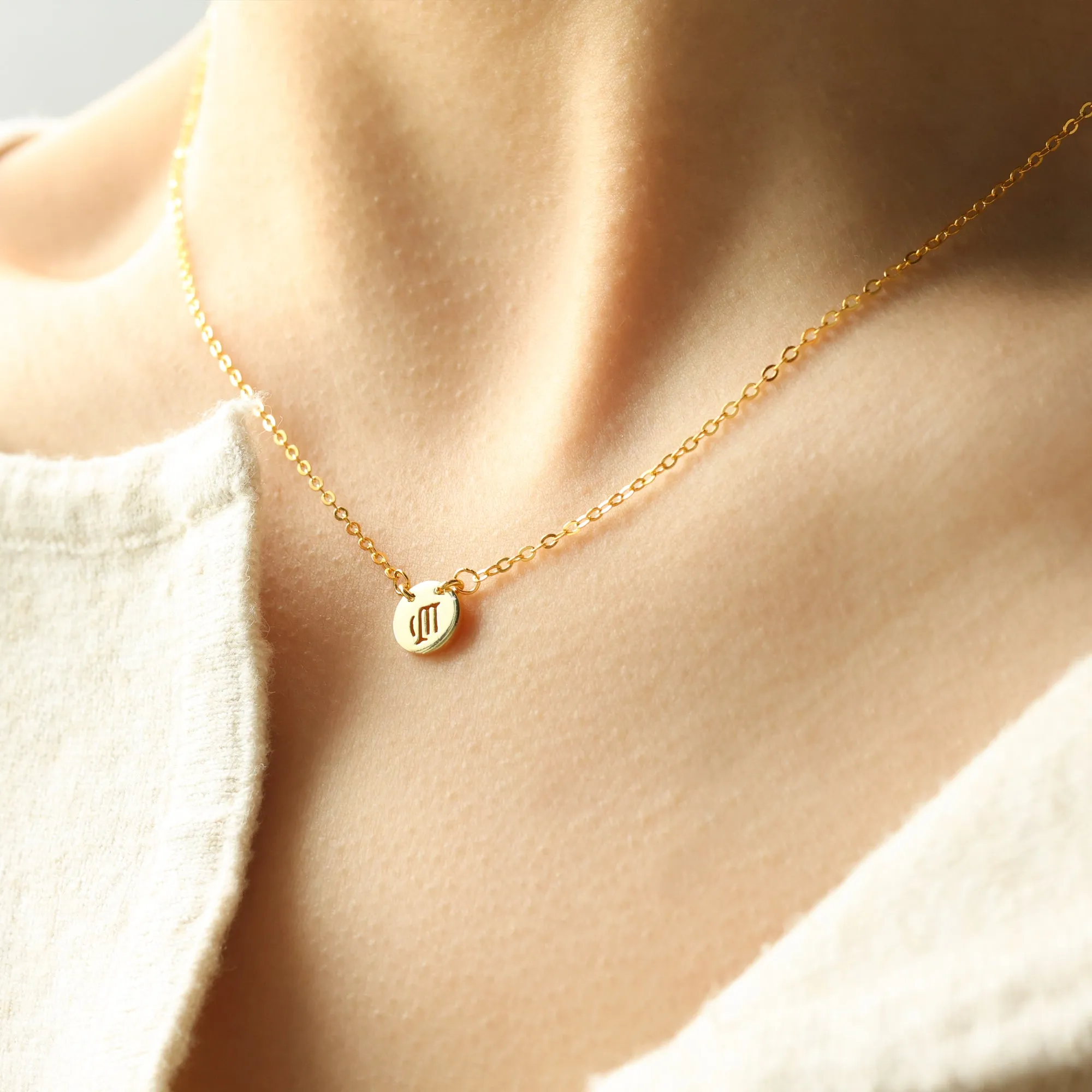 Dainty Zodiac Disc Necklace