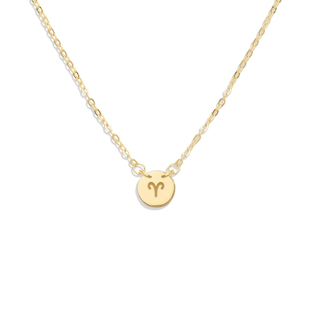 Dainty Zodiac Disc Necklace