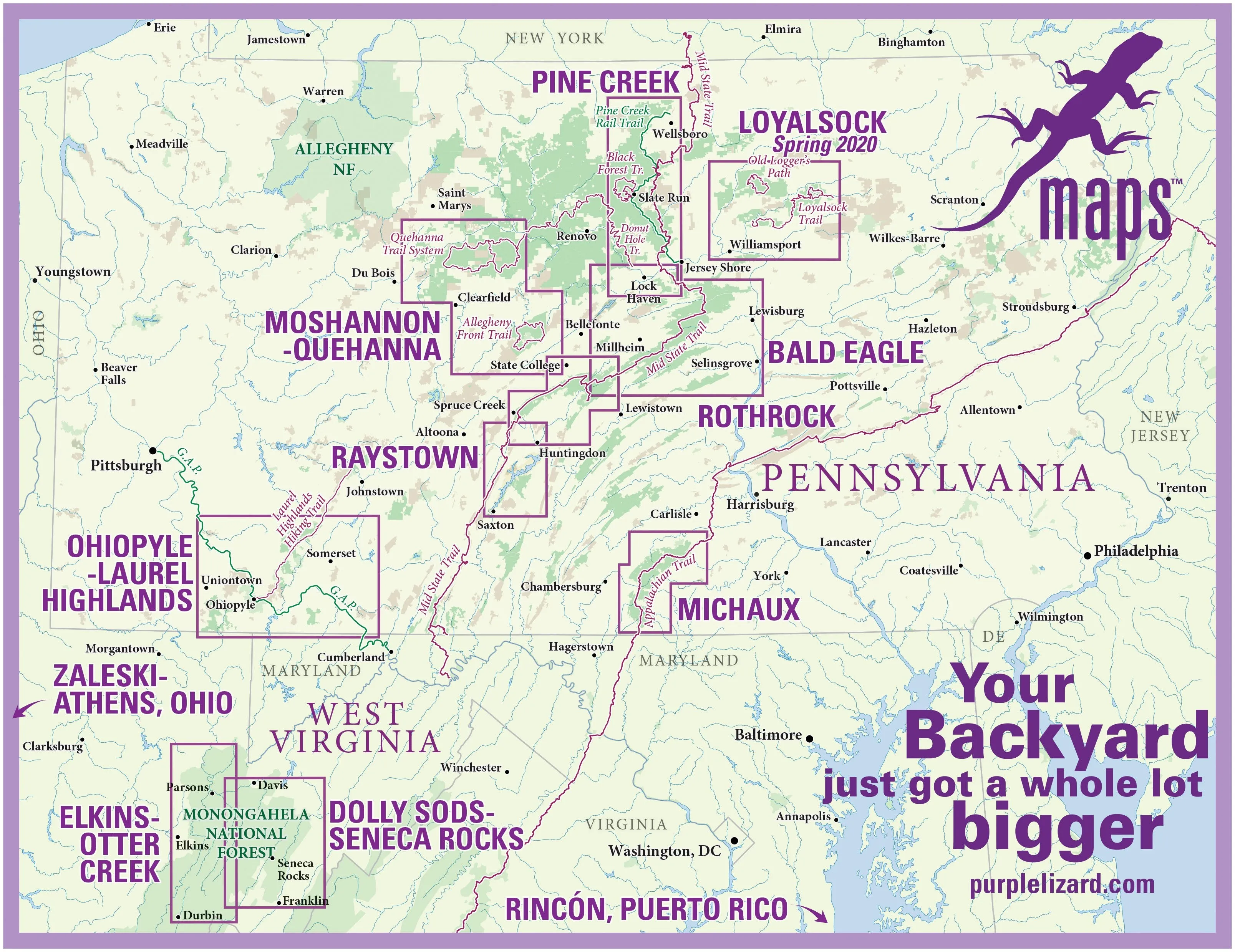 Michaux Lizard Map, Pennsylvania