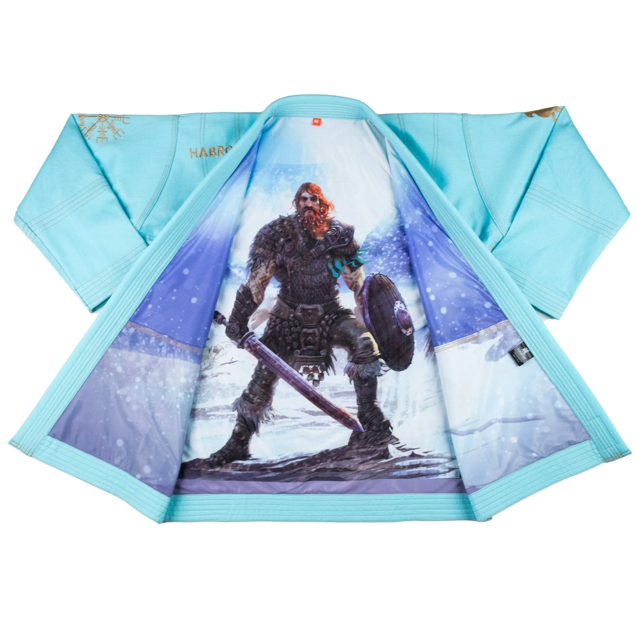 Ragnar The Viking Warrior Gi