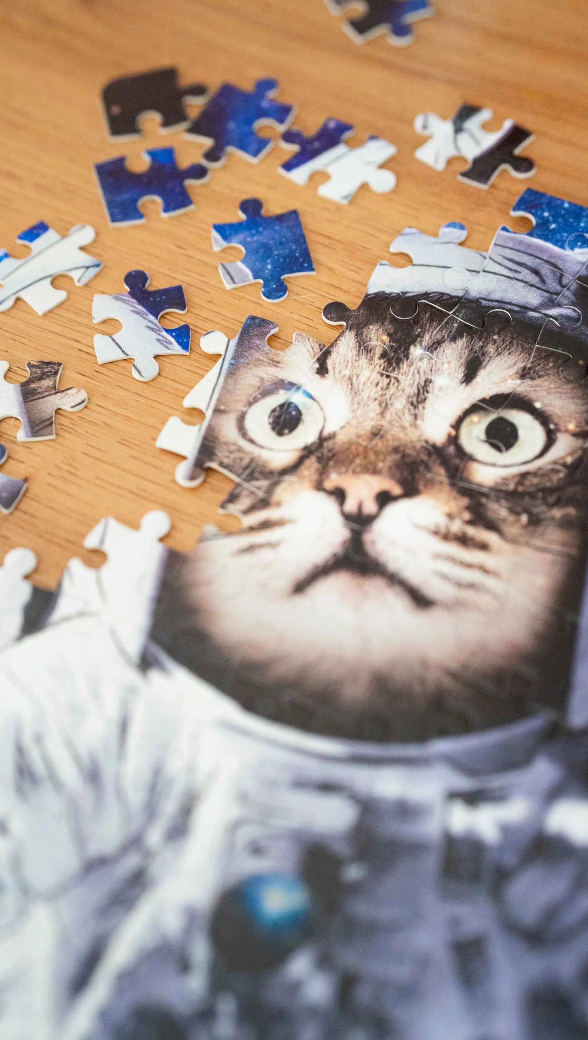 Space Cat - 252 Piece Jigsaw Puzzle